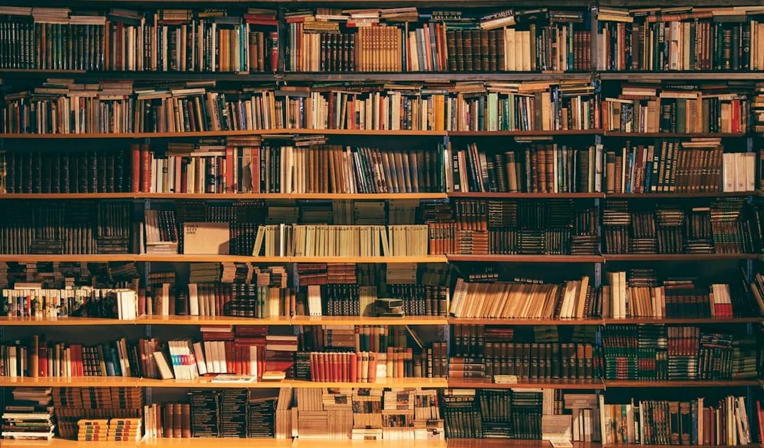 Scholarly books lining the shelves of a library